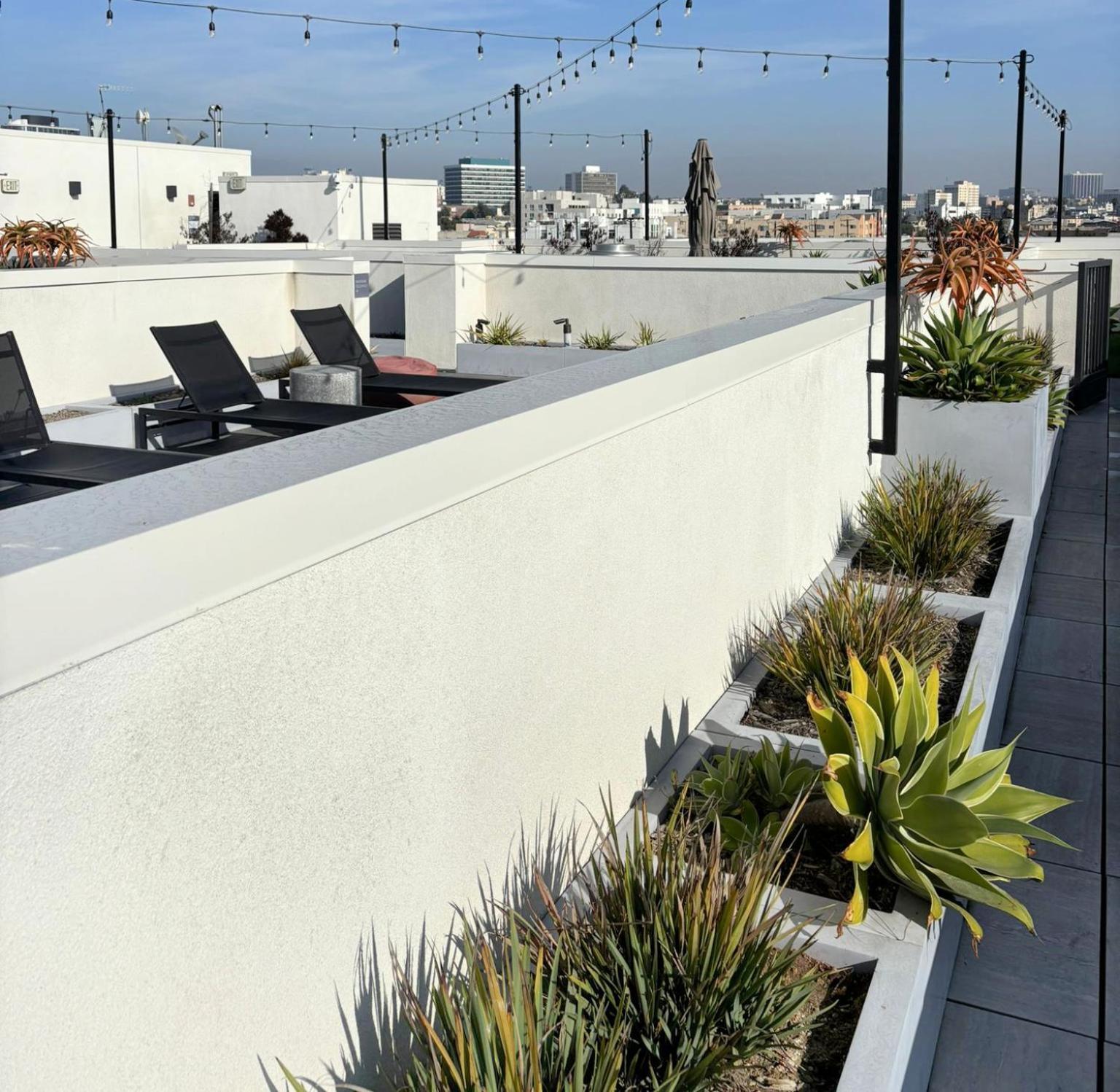 Dream Escape With Great Rooftop Views Los Angeles Zewnętrze zdjęcie